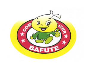 巴夫特（濰坊）化工有限公司