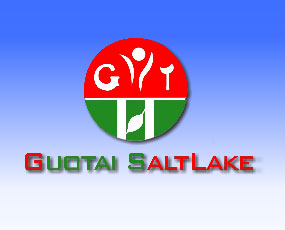 青海國泰鹽湖開發(fā)有限公司