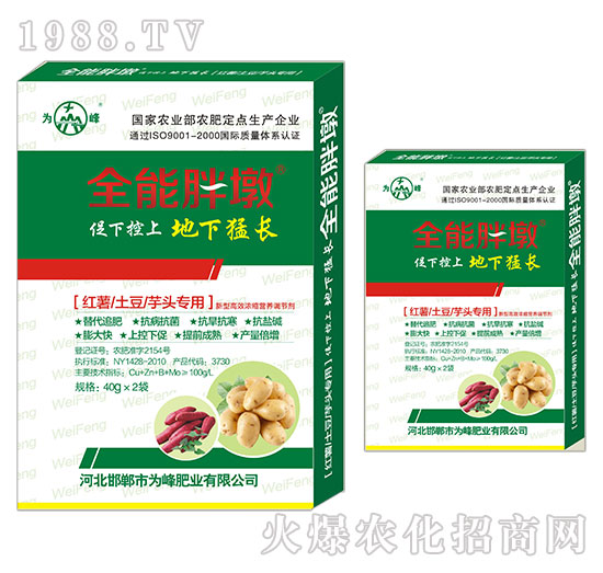 紅薯、土豆、芋頭專用-全能胖墩-為峰