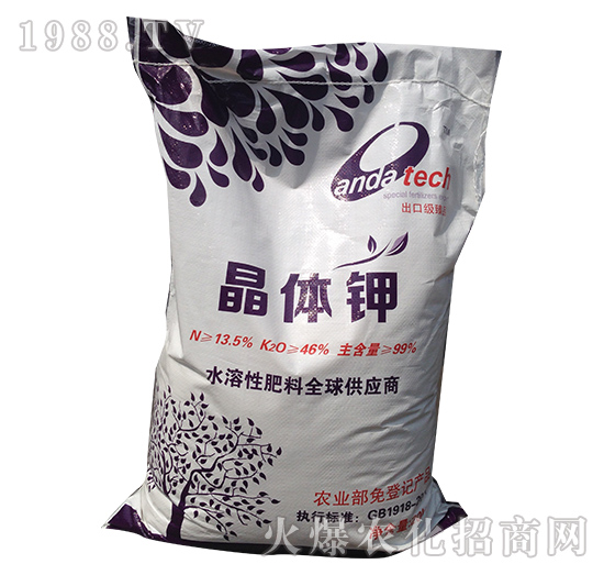 ���w�-���_(d��)