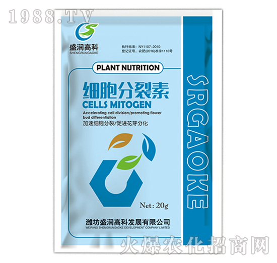 ����������-ʢ���߿�