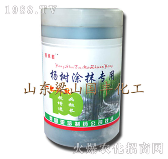 楊樹(shù)涂抹專(zhuān)用肥-梁山國(guó)豐