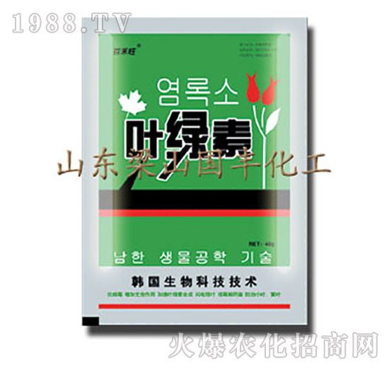 葉綠素（袋）-梁山國(guó)豐