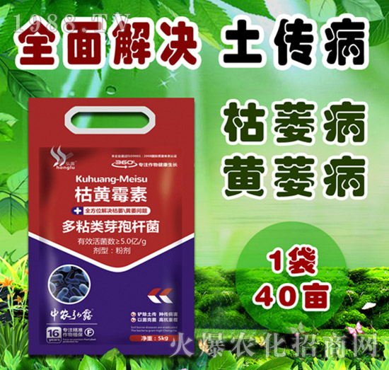 多粘類芽孢桿菌-枯黃霉素-中農(nóng)弘露