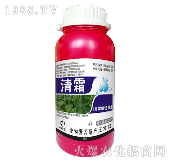 霜霉病特效-清霜-諾爾