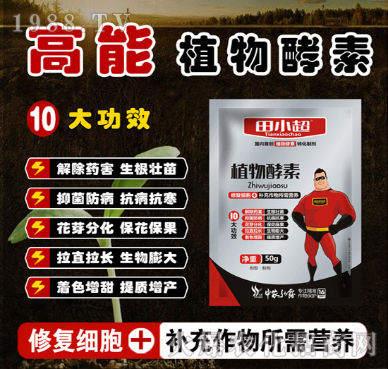 高能植物酵素-田小超