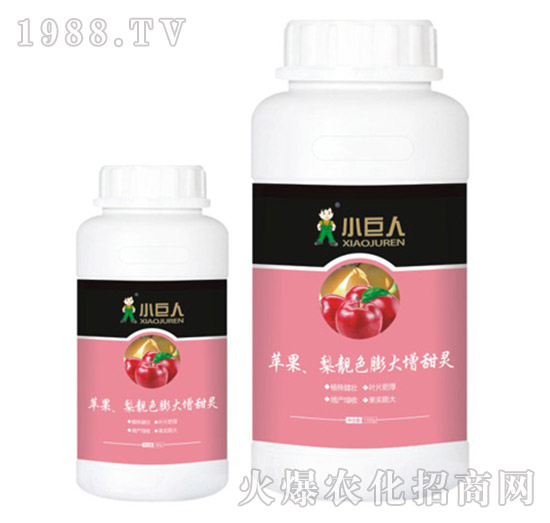 蘋果、梨靚色膨大增甜靈調(diào)節(jié)劑-小巨人