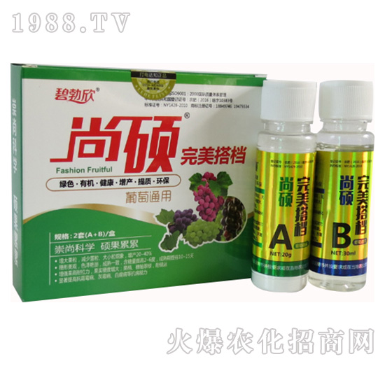 ����ͨ�����-����