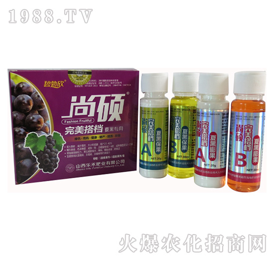 �ĺ����ь������-����