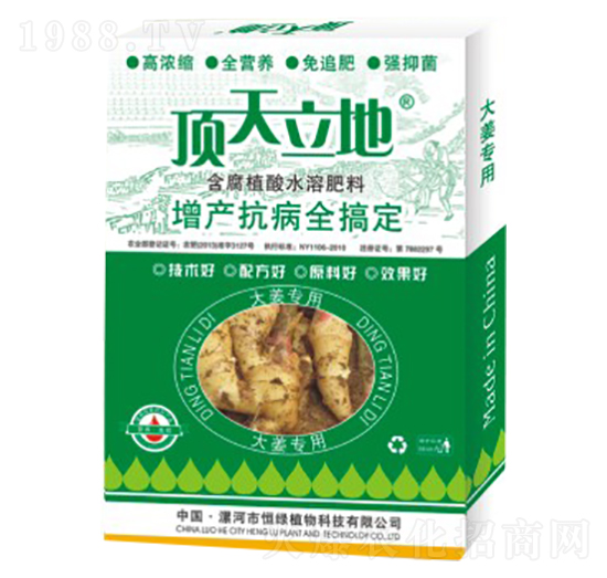 大姜專用含腐植酸水溶肥料-頂天立地-恒綠植物