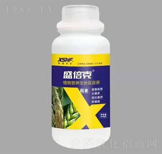稻麥專用植物營養(yǎng)生長促進(jìn)液-盛倍克-新盛禾豐