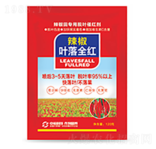 辣椒葉落全紅-中?？萍? style=