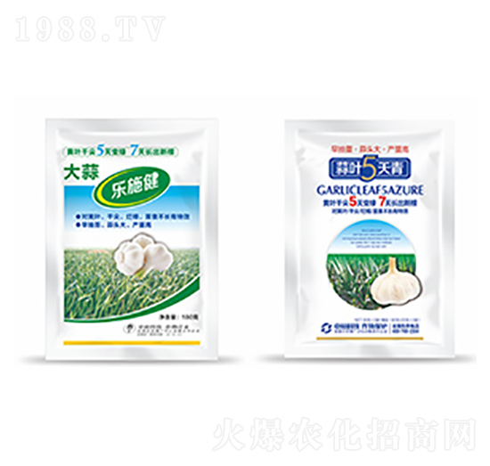 大蒜樂(lè)施健+蒜葉5天青-中?？萍? style=