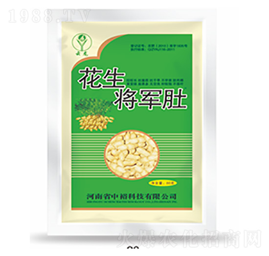 花生將軍肚-中?？萍? style=