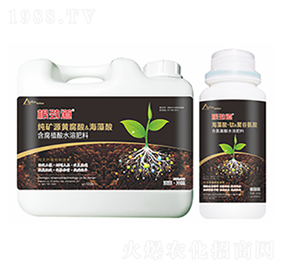 根勁道-中?？萍? style=