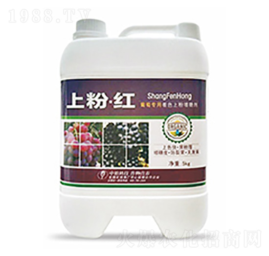 上粉·紅-中?？萍? style=