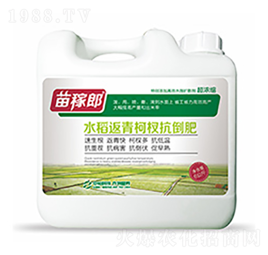水稻返青柯杈抗倒肥-中?？萍? style=