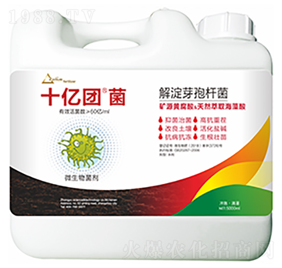 解淀芽孢桿菌-十億團菌-中?？萍? style=