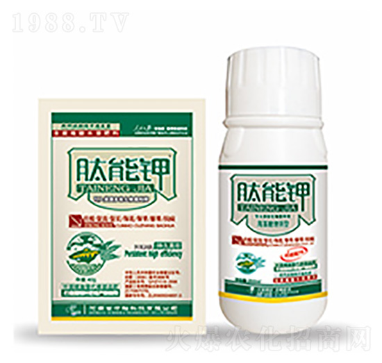 肽能鉀-中?？萍? style=