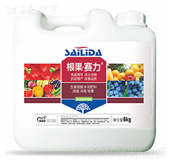 根果賽力-中?？萍? style=