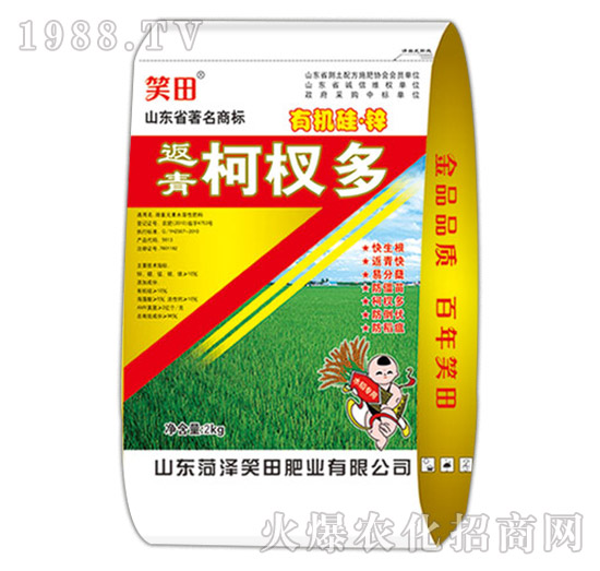 返青柯杈多-笑田