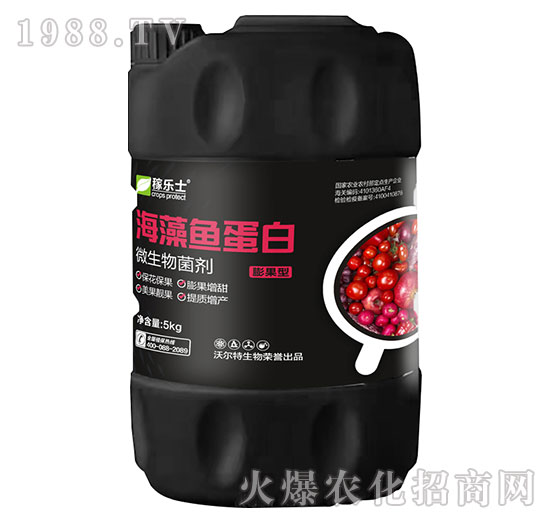 膨果型海藻魚蛋白-稼樂士