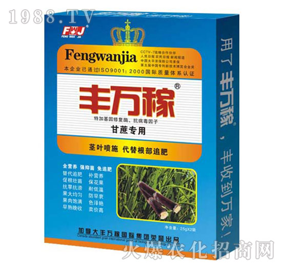 ���ጣ�÷�-���������������֠I�B(y��ng)Һ-�S�f��