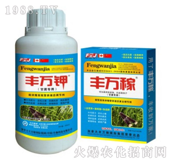 ���ጣ�ø�Ч�I�B(y��ng)Һ�B(t��i)�{(di��o)��(ji��)��-�S�f��