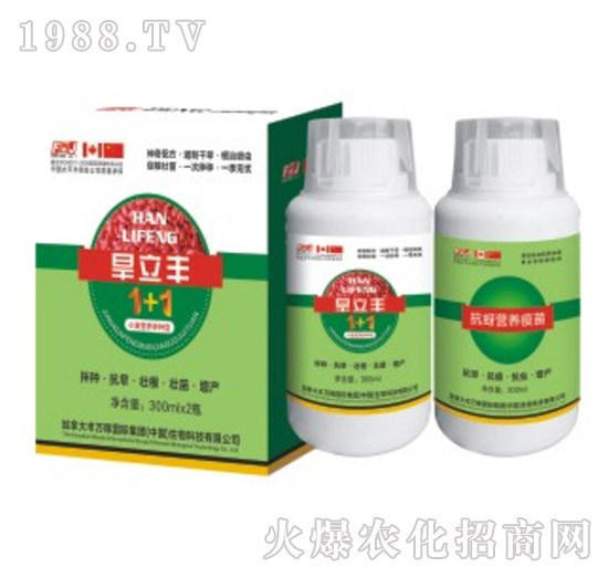 旱立豐小麥拌種肥-豐萬(wàn)稼