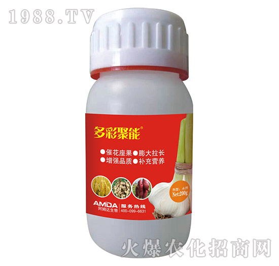 多彩聚能-阿姆達