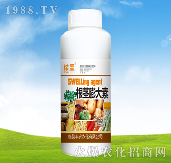 含氨基酸水溶肥料-根莖膨大素-豐農(nóng)農(nóng)化