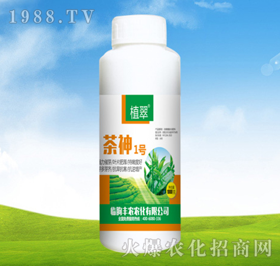 茶神1號(hào)-植翠-豐農(nóng)農(nóng)化