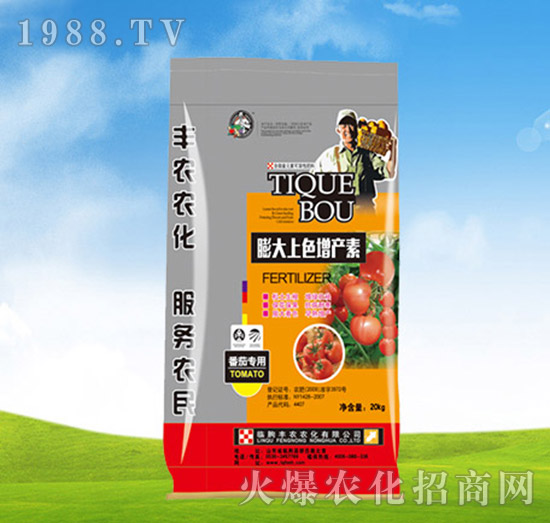 番茄專用肥-膨大上色增產(chǎn)素-豐農(nóng)農(nóng)化