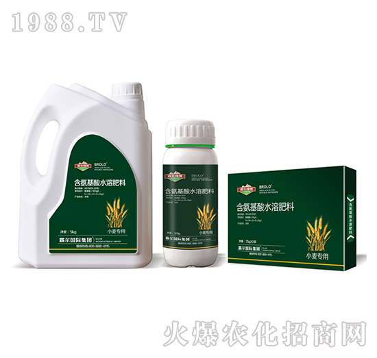 小麥專用含氨基酸水溶肥料-霸爾綠博