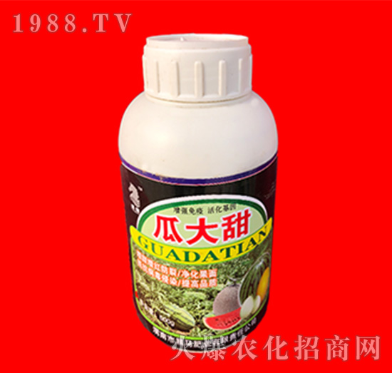 瓜大甜-黑馬肥業(yè)