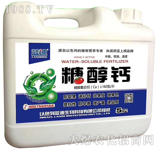 �Ǵ��}-�{(l��n)��-�֠���