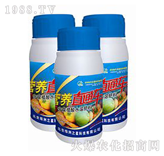 營(yíng)養(yǎng)直通車-綠洲之星