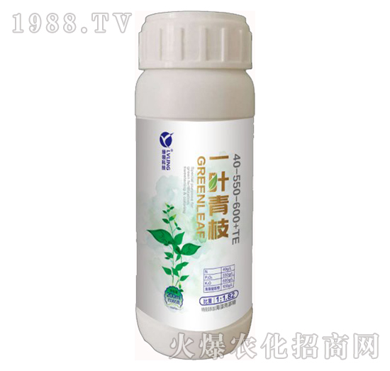 一葉青枝-華宜眾和