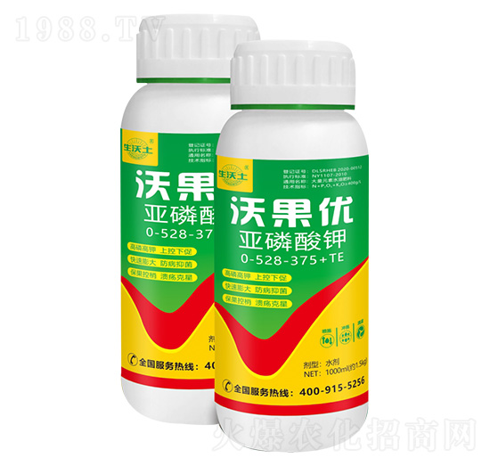 �������0-528-375+TE-�ֹ���(y��u)-�²��r�I(y��)