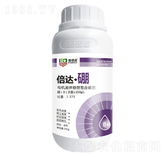 300g倍達·硼-瑞倍達