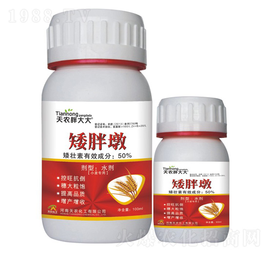 小麥專用-矮胖墩-天農胖大大-天農化工