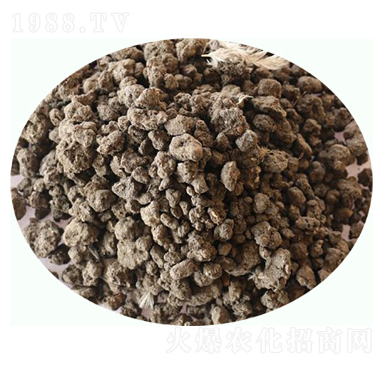 發(fā)酵雞糞肥-康東肥業(yè)