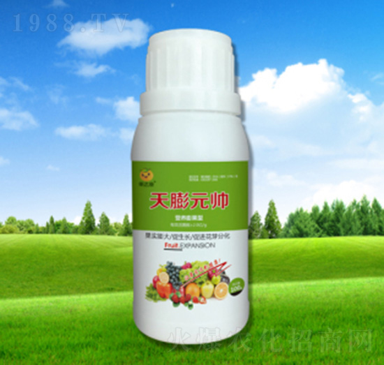 天膨元帥-果達(dá)康肥業(yè)