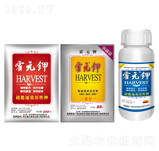 霍元鉀-盛大生物