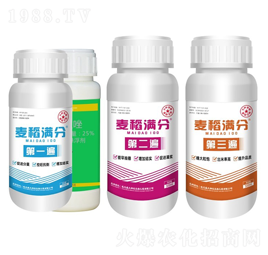 麥稻滿分套餐瓶裝-盛大生物