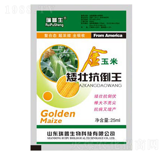 金玉米矮壯抗倒王-瑞普生物