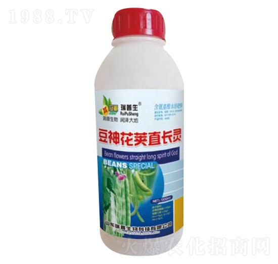 豆神花莢直長靈-瑞普生物