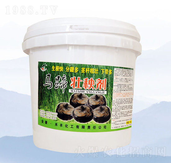 馬蹄壯秧劑（5kg）-禾豐