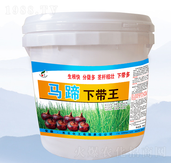 馬蹄下帶王-禾豐