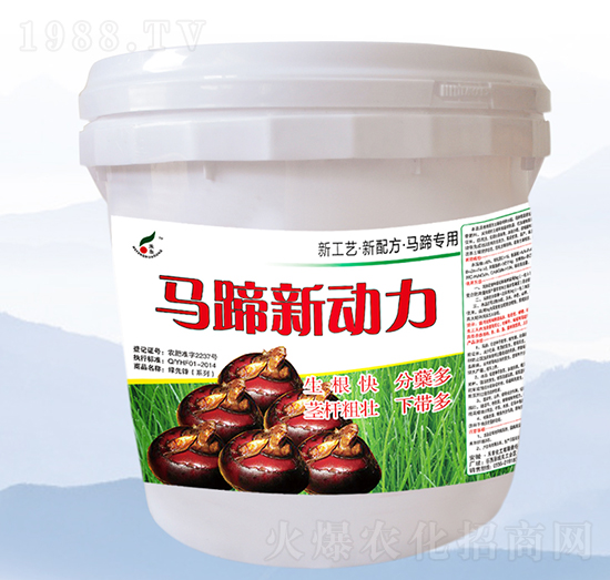 馬蹄新動力-禾豐